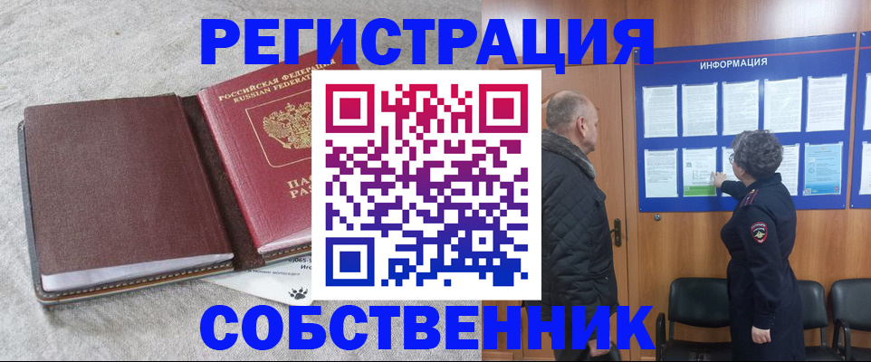 временная регистрация надежно в Камышине