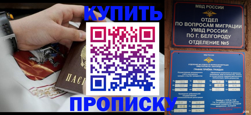 купить прописку в Камышине